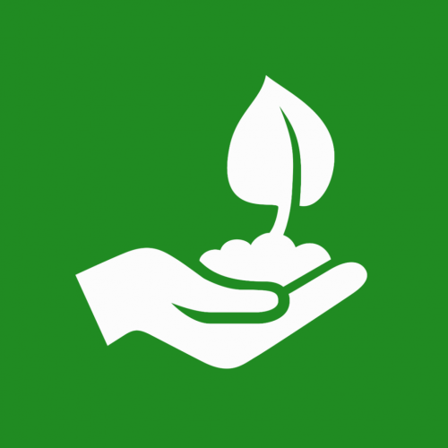 Imagen de act-actividad-digital-jardineria