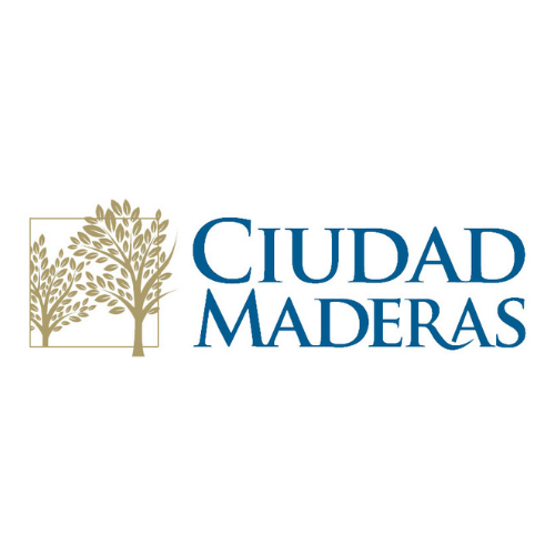 Imagen de Ciudad-Maderas